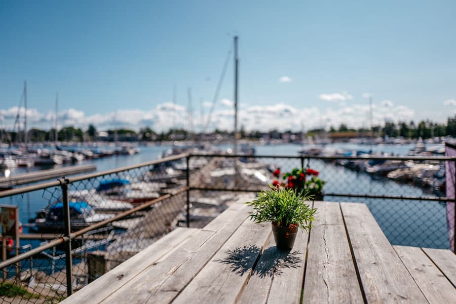 Bilde av en båtplass, en benk i tre med en plante på bordet, sjø og båter i bakgrunn - Råde IL - Idrettslag